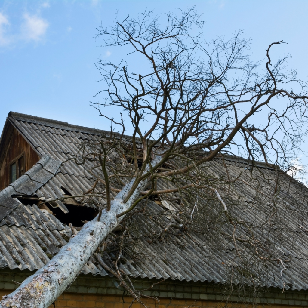 Protect Your Property This Winter: The Role of Tree Surgeons in Preventing Storm Damage