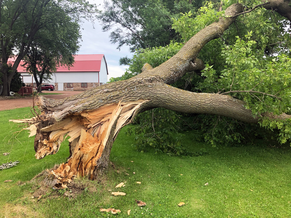 Storm Damage